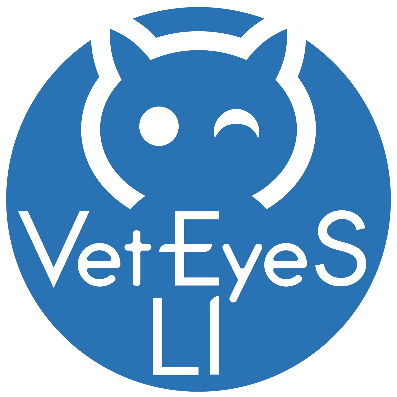 About veteyesli